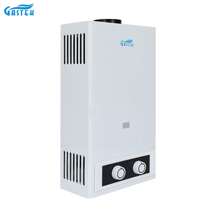 Home Appliance Flue Type Wall Mounted LPG Tankless Instant Gas Geyser ရေချိုးခန်း