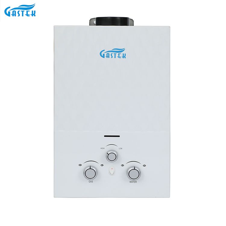 ရေချိုးခန်းအတွက် Flue Type Wall Mounted Tankless Instant Gas Hot Water Heater