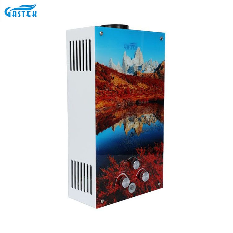 Flue Type 12L Glass Panel Compact Size Gas Hot Water Heater