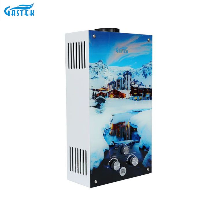 ရေချိုးခန်းအတွက် Glass Panel Flue Type Home Appliance Gas Geyser