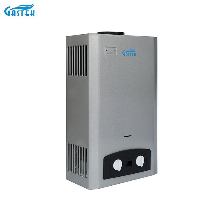 Home Appliance Flue Type Shower LPG Natural Gas Instant Gas Water Heater