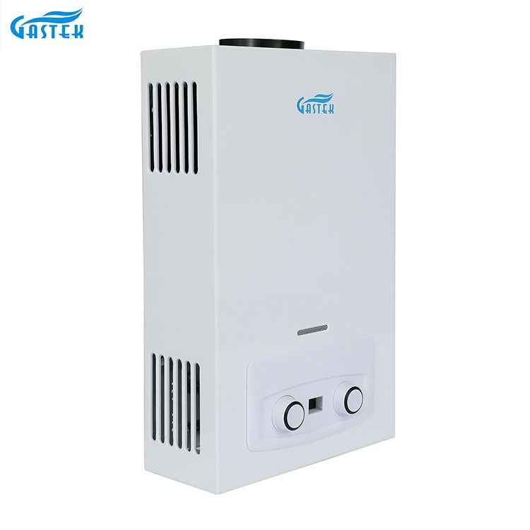 Home Appliance Boiler Flue Type Shower LPG Gas Water Heater ရေချိုးခန်းအတွက် ရေချိုးခြင်း။