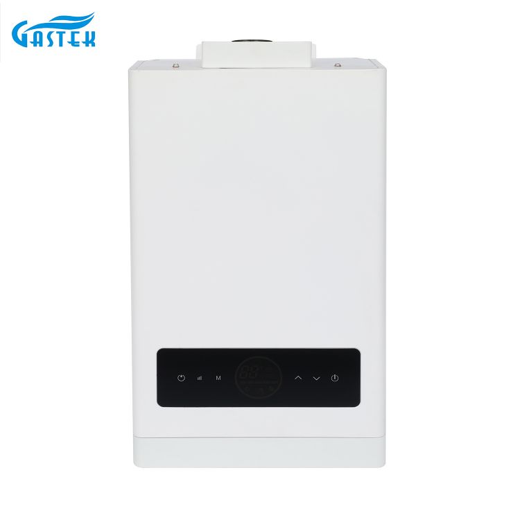 Constant Temperature Touch Screen Display Forced Type Tankless Gas Water Heater with Turbo