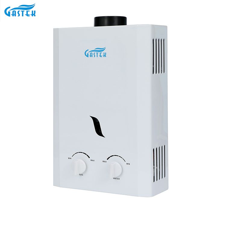Home Appliance Flue Type Wall Mounted 6L 10L 12L 16L 20L LPG ရေချိုးခန်းအတွက် Tankless Instant Gas Geyser