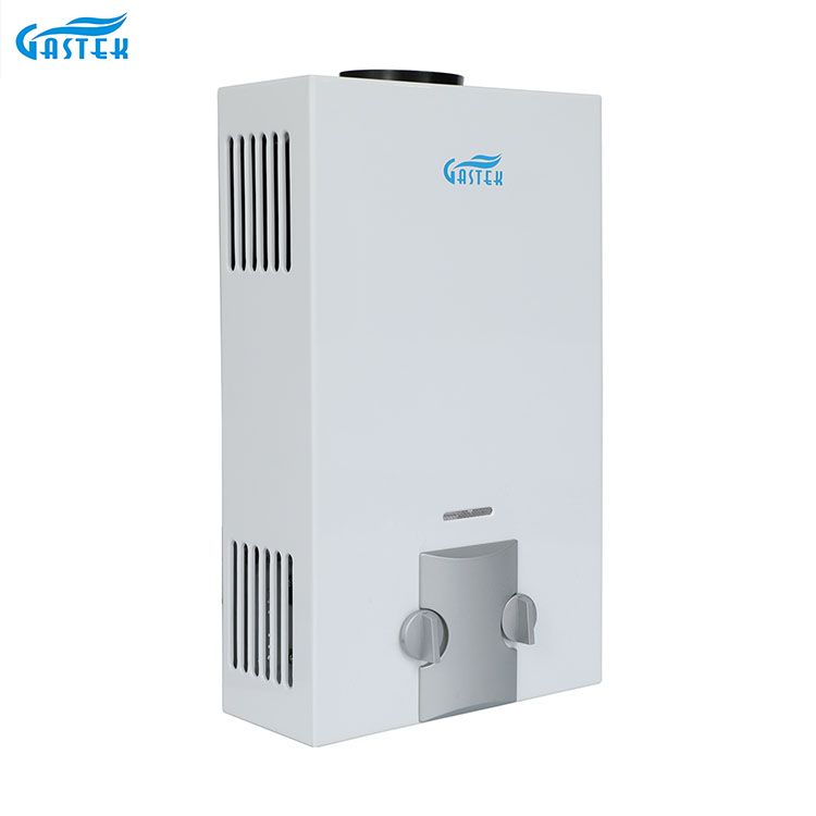 အိမ်သုံးပစ္စည်းစက်ရုံ OEM ODM Flue အမျိုးအစား နံရံတွင်တပ်ဆင်ထားသော 6L 10L 12L 16L 20L LPG ရေချိုးခန်းအတွက် Tankless Instant Gas Geyser
