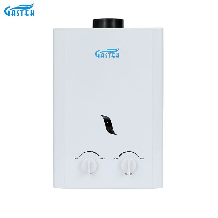 Flue Type Wall Mounted 6L 10L 12L 16L 20L LPG ရေချိုးခန်းအတွက် Tankless Instant Gas Hot Water Heater