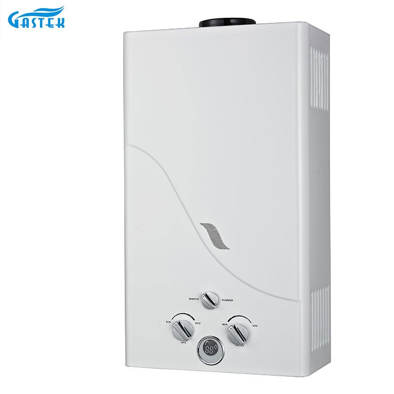 Home Appliance Shower 10L Flue Type Instant Gas Boiler